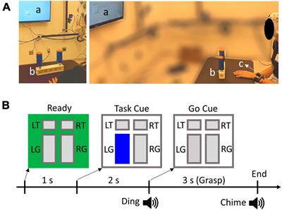 Decoding reach-to-grasp from EEG using classifiers trained with data from the contralateral limb